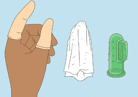 Cách vệ sinh miệng cho trẻ sơ sinh tại nhà